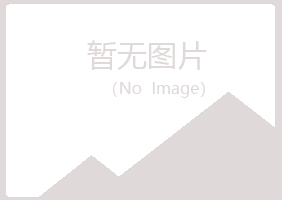 偃师山柳计算机有限公司